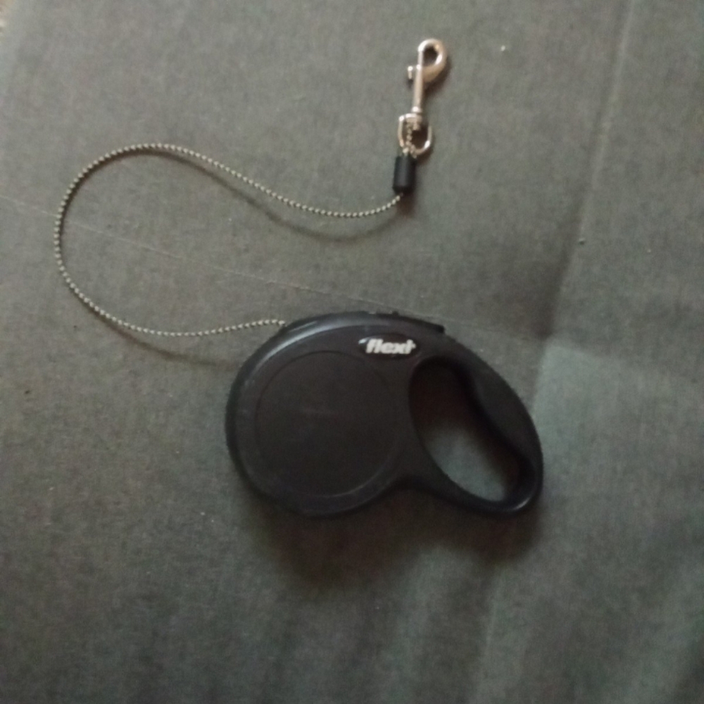 Flexi Dog Leash